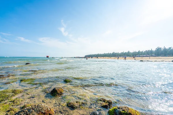 Denizde dalgalar ve kayalar