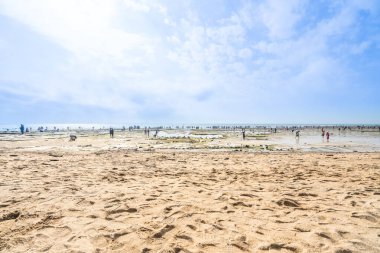 Mavi gökyüzünün altındaki kumsal