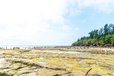 Weizhou Adası, Guangxi, Çin kıyısındaki resifler ve deniz yosunu.
