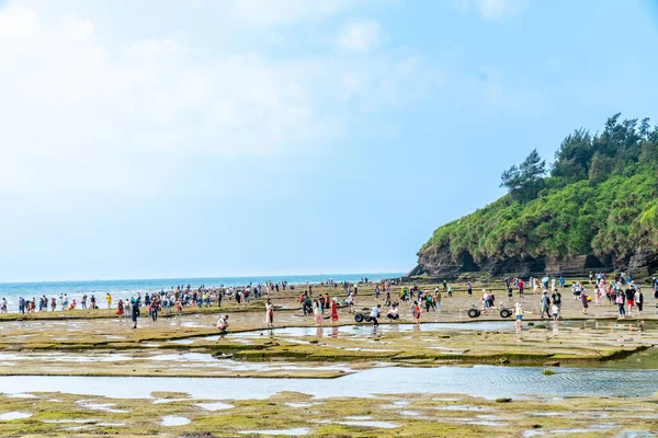 Rev Och Alger Kusten Weizhou Island Guangxi Kina — Stockfoto