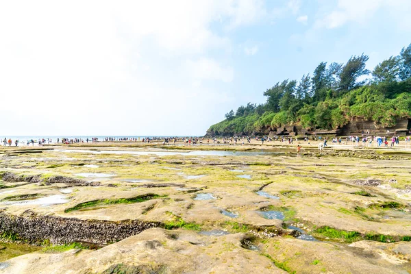 Rev Och Alger Kusten Weizhou Island Guangxi Kina — Stockfoto