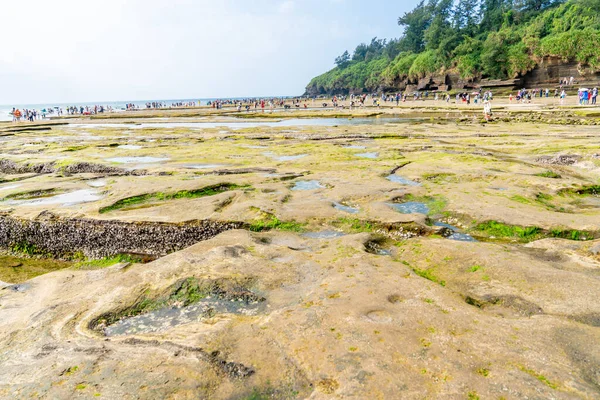 Rev Och Alger Kusten Weizhou Island Guangxi Kina — Stockfoto