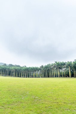 Bulutlu bir günde, geniş bir çayır.