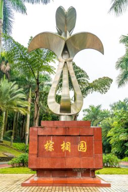 Yağmur ormanlarında palmiye ağaçları