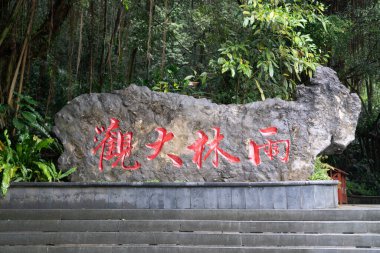 Bulutlu günlerde yağmur ormanı