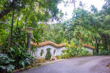 Bulutlu günlerde yağmur ormanı