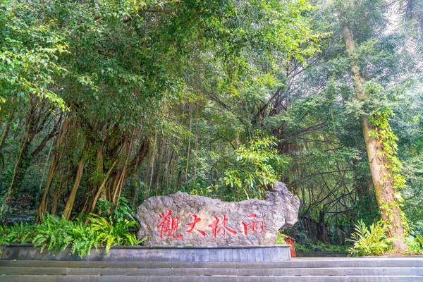 多云天的雨林 — 图库照片