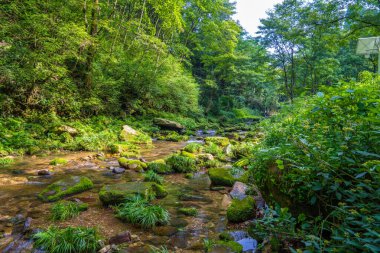 Jinbian Brook Zhangjiajie 'de Uzaktan Turistlerle Akıntı
