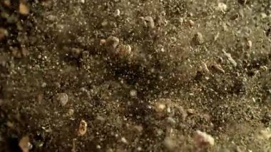 Kayalarla Patlayan Toprağın Süper Yavaş Çekimi. Kameraya doğru, 300 fite doğru. Yüksek Hız Sinema Kamerası, 4k.