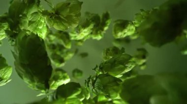 Süper Yavaş Hareket Ayrıntılı Çekim Taze Yeşil Sıçrama Yığını 1000 Fps 'te. Yüksek Hız Sinema Kamerası, 4k.