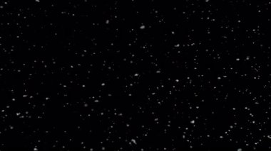 Düşen Gerçek Kar 'ın Süper Yavaş Çekimi Siyah Arkaplanda 1000 fp' de izole edildi.