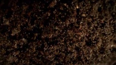 Patlayan Substratın Süper Yavaş Çekimi. Kameraya doğru 1000fps. Yüksek Hız Sinema Kamerası, 4k.