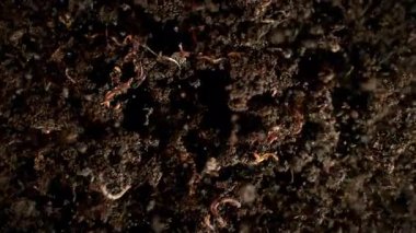 Yersolucanlarıyla Patlayan Substrat 'ın Süper Yavaş Çekimi. Kameraya doğru, 1000fps. Yüksek Hız Sinema Kamerası, 4k.