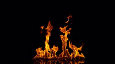 Ateş Ateşi 'nin Süper Yavaş Çekimi, Kara Arkaplan' da izole edildi. 4K 'de yüksek hızlı sinema kamerasıyla çekilmiş..