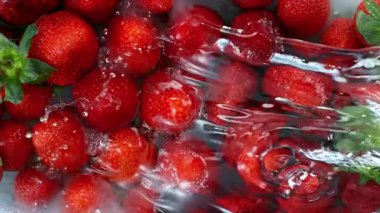 Süper Yavaş Çekim Suyu Taze Çileklerin üzerine sıçratıyor. 4K 'da Yüksek Hız Sinema Kamerası ile çekildi..