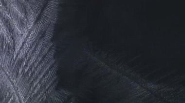 Gerçek Zamanlı Buz Dokusunun Görüntüsü Cam Üzerinde, Siyah Arkaplanda. Sinema Kamerası, 4K.