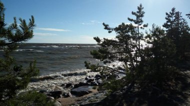 Ağaçlarla kıyı manzarası.