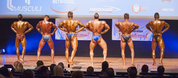 Erkek vücut geliştiriciler kendi kasları flex ve onların en iyi physiqu göster