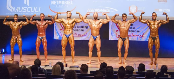 Bodybuilders masculins fléchissent leurs muscles et montrent leur meilleure physiqu Images De Stock Libres De Droits