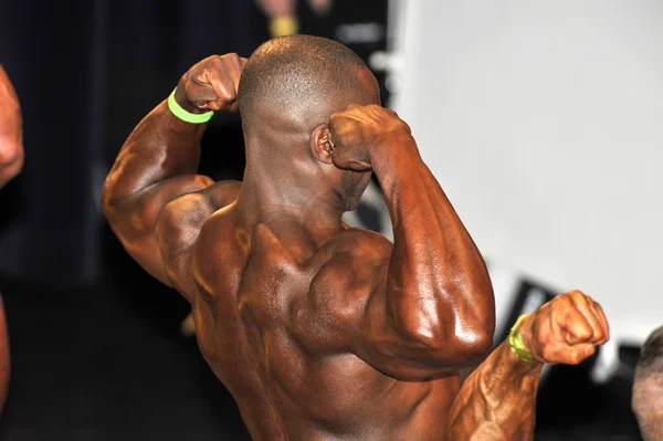 Masculin culturism concurent face o spate dublu biceps pozează — Fotografie, imagine de stoc