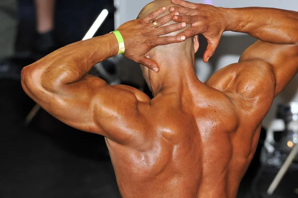 Male bodybuilding contestant showing his best back pose Stock Picture