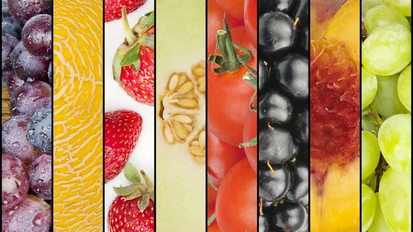 Колаж сезонних літніх фруктів — стокове фото