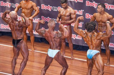 Male bodybuilders showing their best in a lineup comparison