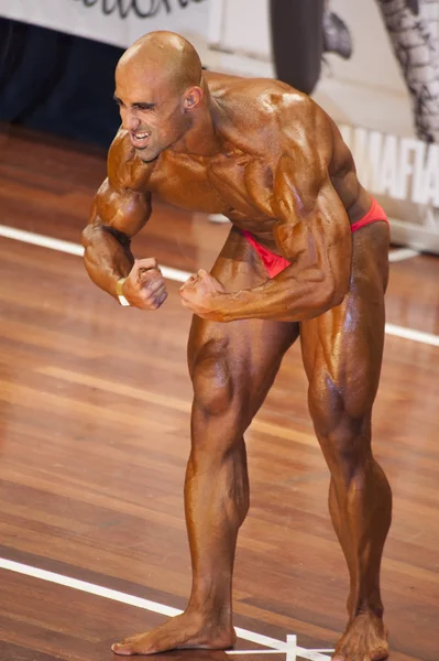 Bodybuilder shows his best most muscular pose — Stockfoto