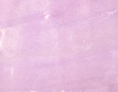 Soluk pembe suluboya