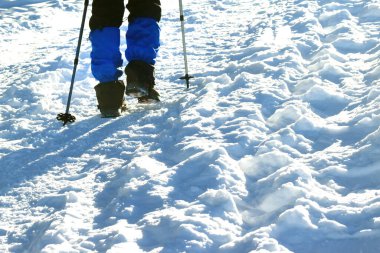 Kış dağlarına giden yürüyüşçü bacaklarının yakın çekimi.