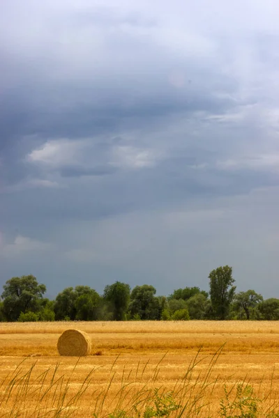 Agriculture farm field haystack calm landscape. Harvesting time on an agricultural field in Almaty region of Kazakhstan