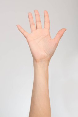 Beyaz arkaplanda izole edilmiş açık avuç içi hareketi