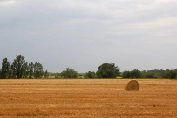 Haystack Катается Сельскохозяйственном Поле Против Драматического Осеннего Неба Копировальным Пространством — стоковое фото