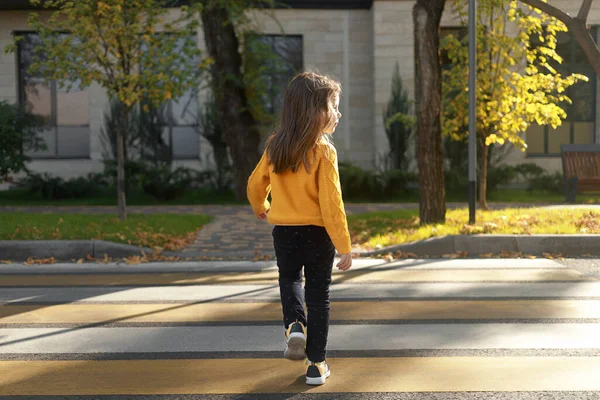 Una Niña Pequeña Cruza Calle Cruce Cebra Mira Alrededor —  Fotos de Stock