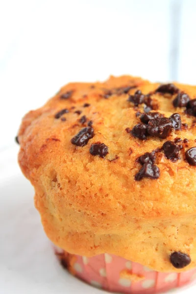 Bolinho de Chocolate Chip — Fotografia de Stock