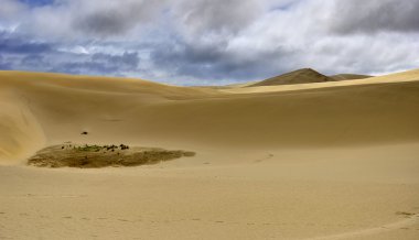 Giant Te Paki sand dunes landscape clipart