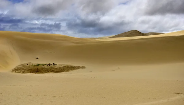 Gigante Te Paki dunas de areia paisagem — Fotografia de Stock