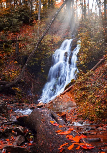 Farbenfroher Waldwasserfall Magischer Naturlandschaft — Stockfoto
