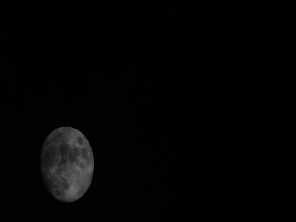 Vollmond geht auf — Stockvideo