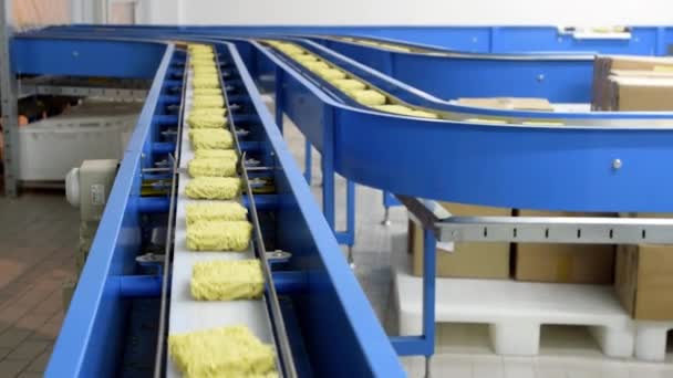 Fábrica de pasta de fideos — Vídeo de stock