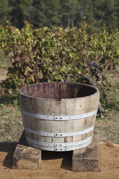 Tradycyjne podatku vat do zbioru winogron Zdjęcie Stockowe