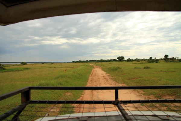 Utsikt från Safari lastbilen — Stockfoto