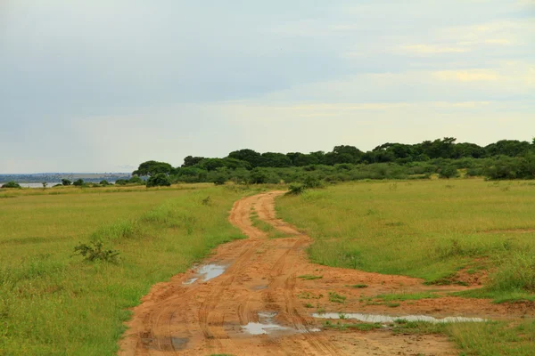 Parque Nacional Murchison Falls Safari Track — Foto de Stock