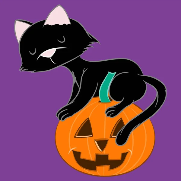 Cute Black Cat Witch Hat Sitting Halloween Pumpkin — Stock Vector
