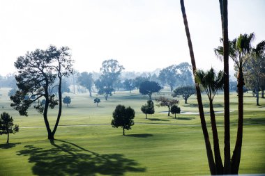 Los Angeles 'taki yeşil parkın şık ve lüks manzarası, palmiye ağaçları ve golf sahası.