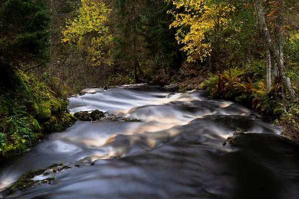 Amazing mountain waterfall landscape. Autumn forest and waterfall background. Great design for any purposes.