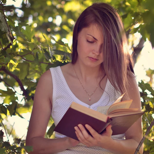 Söt flicka läsa en bok på en äng — Stockfoto