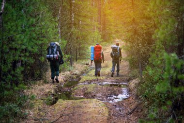 Sırt çantaları Günbatımı ile arkadan yürüme arkadaş grubu.