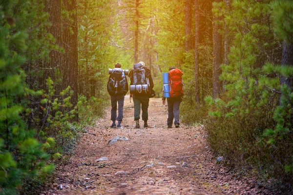 Group of friends walking with backpacks in sunset from back. — Stock Photo, Image