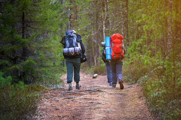 Group of friends walking with backpacks in sunset from back. — Stock Photo, Image